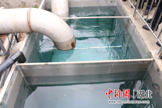 汤逊湖厂出口 汤逊湖厂出口